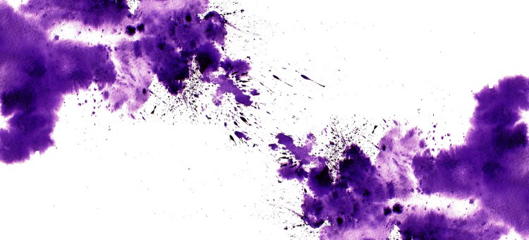 toallitas quitamanchas 13